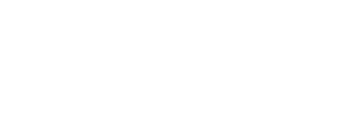 ES Vincentian Logo